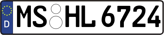 MS-HL6724