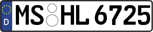 MS-HL6725