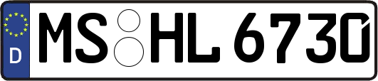 MS-HL6730