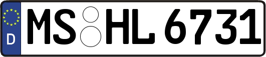 MS-HL6731