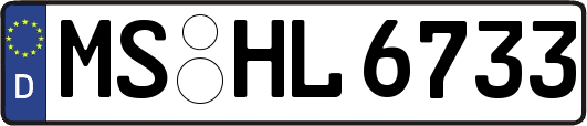 MS-HL6733