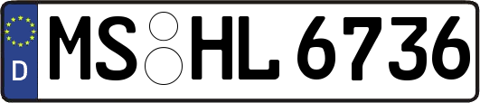 MS-HL6736