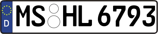 MS-HL6793