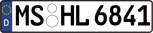 MS-HL6841