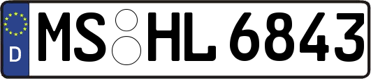 MS-HL6843