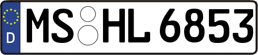 MS-HL6853