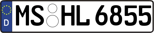 MS-HL6855