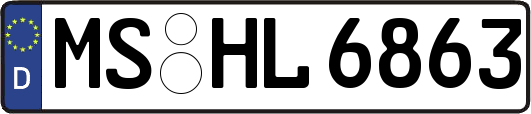 MS-HL6863