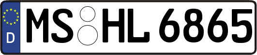MS-HL6865