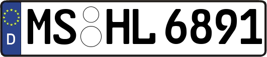 MS-HL6891
