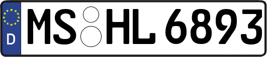 MS-HL6893