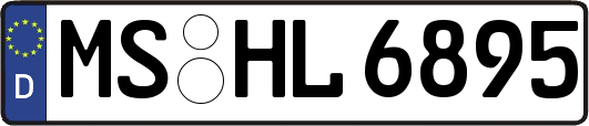 MS-HL6895