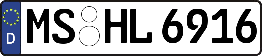 MS-HL6916