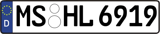 MS-HL6919