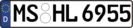 MS-HL6955