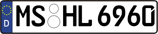 MS-HL6960