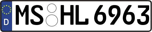 MS-HL6963