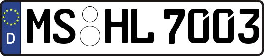 MS-HL7003
