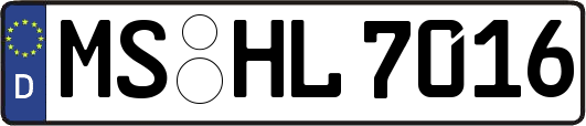 MS-HL7016