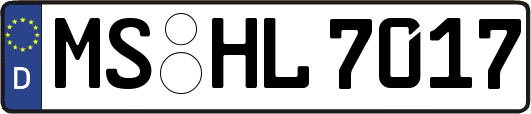 MS-HL7017