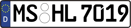 MS-HL7019