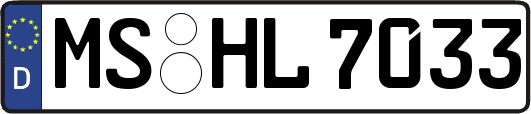 MS-HL7033
