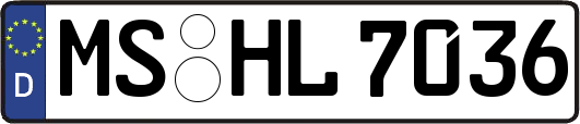MS-HL7036