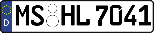 MS-HL7041