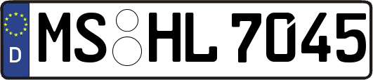 MS-HL7045