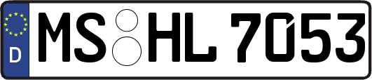 MS-HL7053