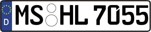 MS-HL7055