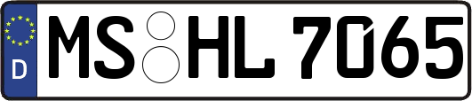 MS-HL7065