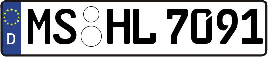MS-HL7091