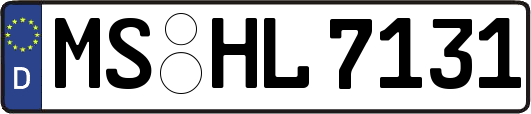 MS-HL7131