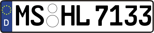 MS-HL7133