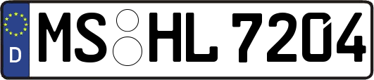 MS-HL7204
