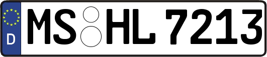 MS-HL7213