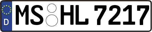 MS-HL7217
