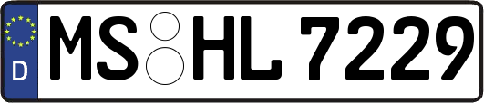 MS-HL7229