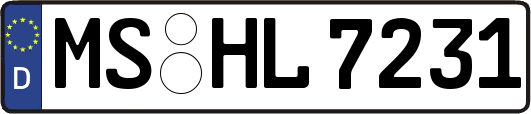 MS-HL7231