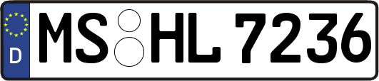 MS-HL7236