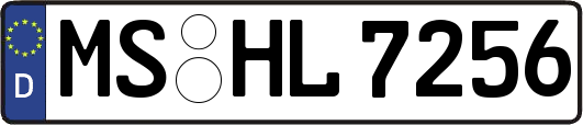 MS-HL7256