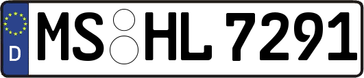MS-HL7291