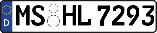 MS-HL7293