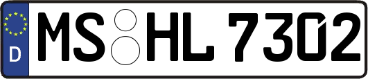 MS-HL7302