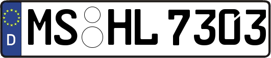 MS-HL7303