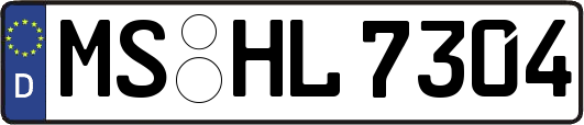 MS-HL7304