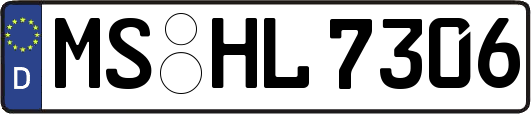 MS-HL7306