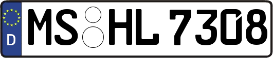 MS-HL7308