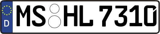 MS-HL7310